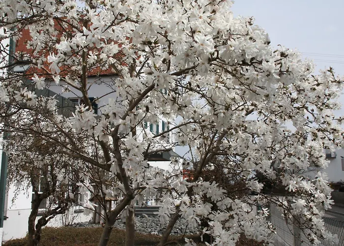 Wangerhof Aψβούργη