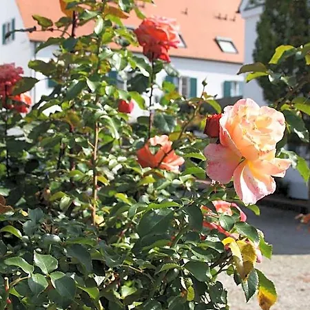 Wangerhof Augsburg